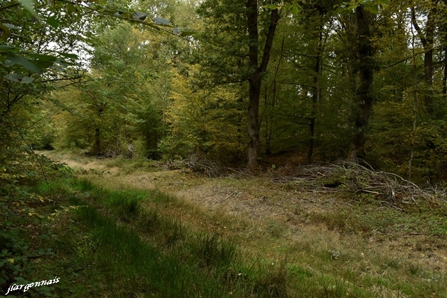 Virades de l'Espoir 2019 (2)