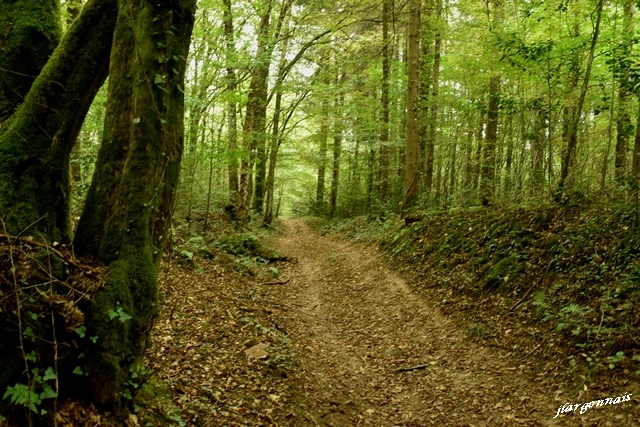 Virades de l'Espoir 2019 (3)