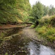 Aisne 2020 09 26 4