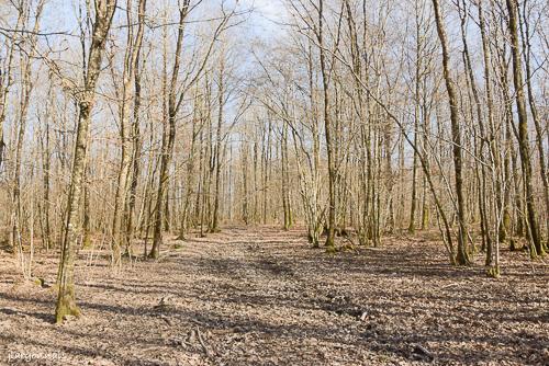 Ambiance printannie re 2025 3