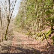 Ambiance printannie re 2025