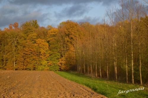 Argonne automne 10 2014