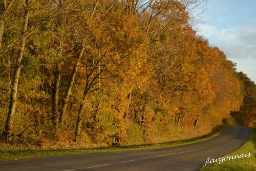 Argonne automne 11 2014