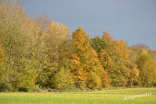 Argonne automne 13 2014