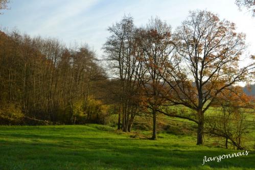 Argonne automne 3 2014