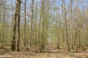 Argonne printemps 2
