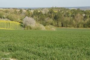 Argonne printemps