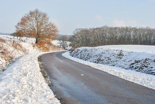 Automne 2012 3