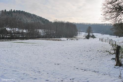 Automne 2012