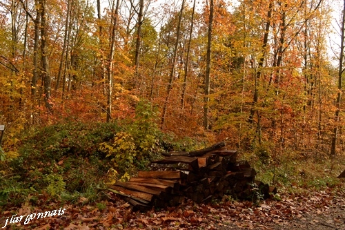 Automne 2018 3