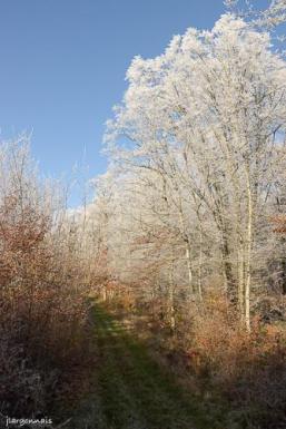 Automne 2022 3