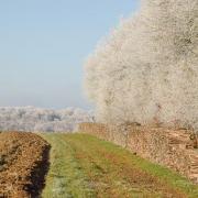 Automne 2022 4