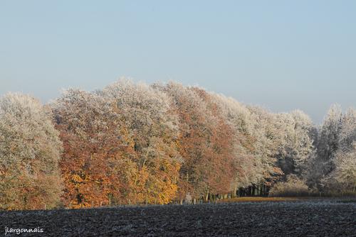 Automne 2022 8