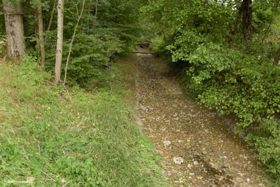 Canal de la tourbe