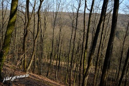 Chemins gouraud et cote nd 2017 02 18 7