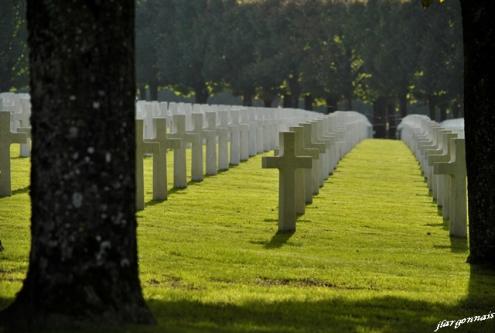 Cimetiere americain 3