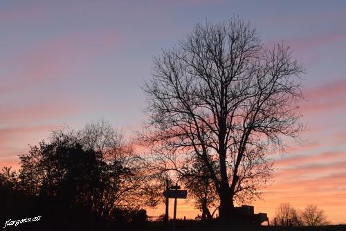 Couche de soleil st thomas en argonne 2021 04 25 1