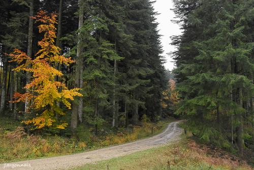 Croix de saint pol 2023 11 12 2