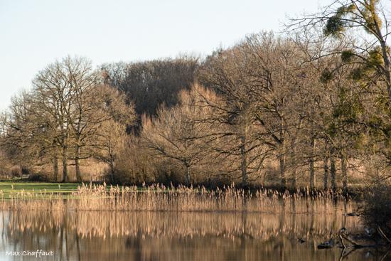 De bords aisne le chemin 2022 2