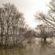Debords aisne 2021 02 08 1 1