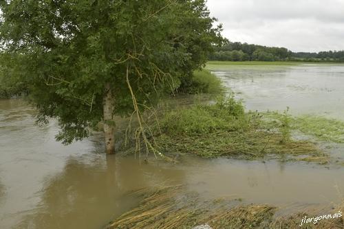 Debords la biesme l aisne 2021 07 4