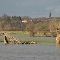 Debords savigny sur aisne 2015 03 2