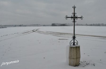 Dsc 0099