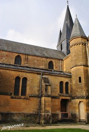 Dsc 49