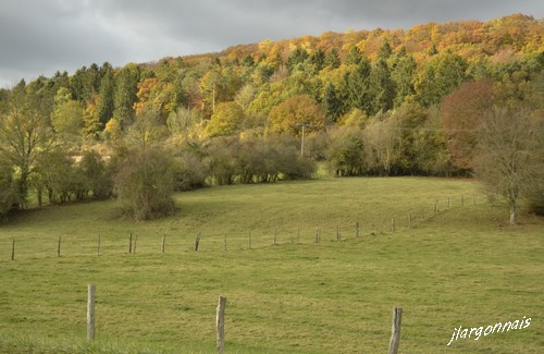 Dsc0002 3