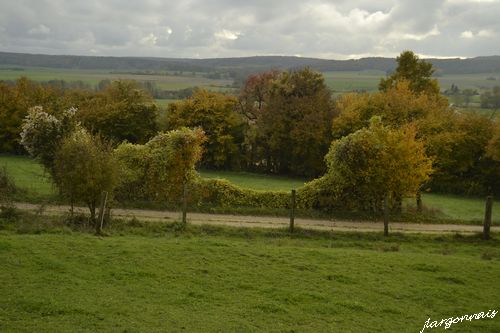 Dsc0061