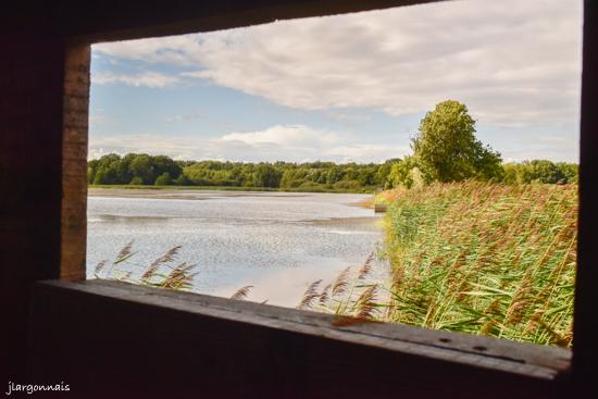 Etang belval en argonne 12