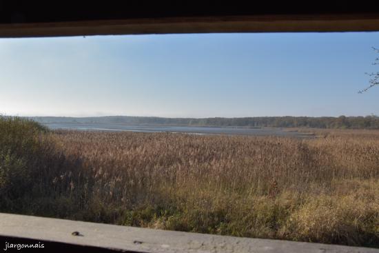 Etang belval en argonne 14