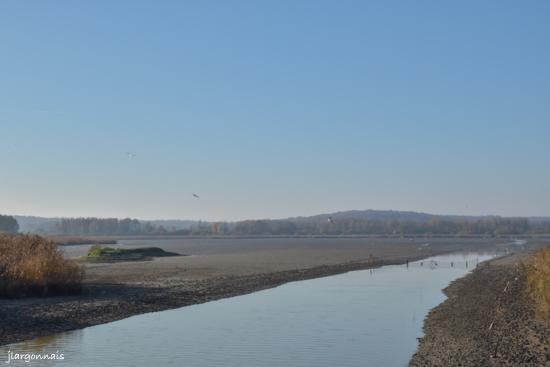 Etang belval en argonne 15