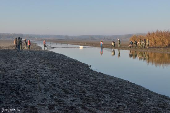 Etang belval en argonne 17