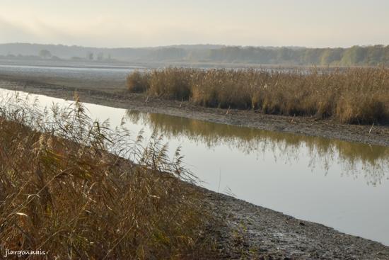 Etang belval en argonne 19