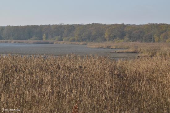 Etang belval en argonne 20