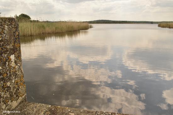 Etang belval en argonne 4