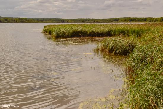 Etang belval en argonne 5