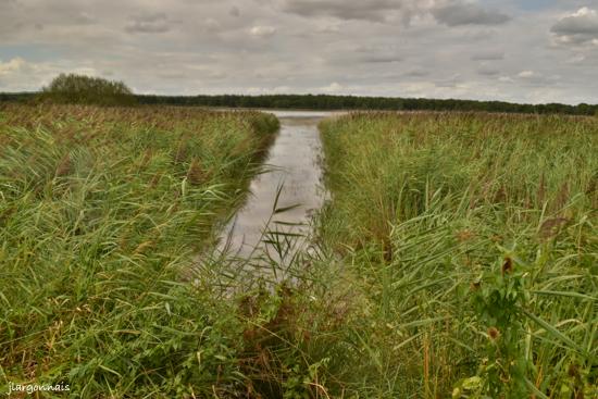 Etang belval en argonne 6