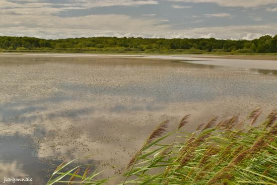 Etang belval en argonne 9