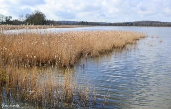 Etang belval en argonne