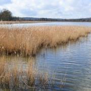 Etang belval en argonne