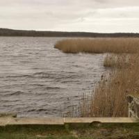 Etang de belval en argonne 2020 02 20