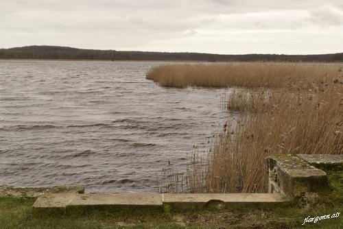 Etang de belval en argonne 2020 02 20