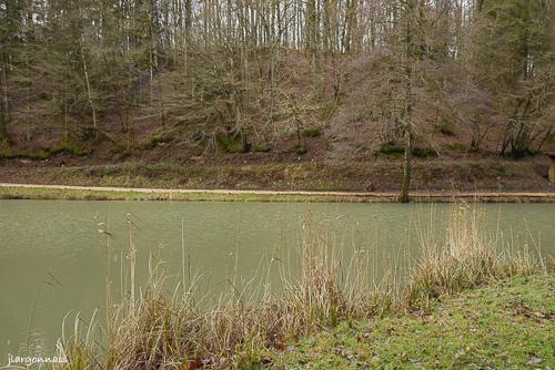 Etang de houyette