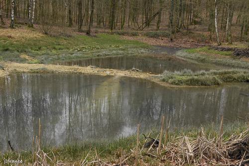 Etang de la linette 10