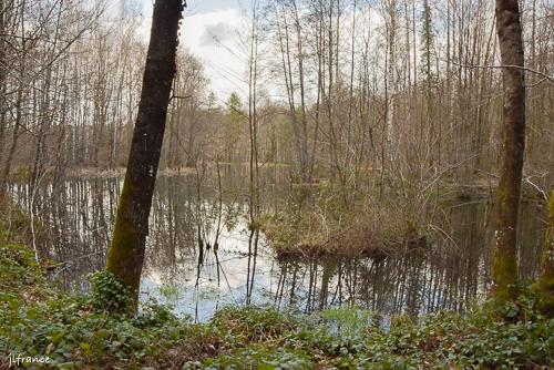 Etang de la linette 16