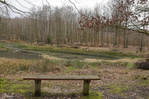 Etang de la linette 4