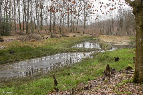 Etang de la linette 5