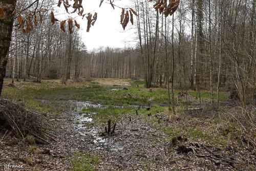 Etang de la linette 8